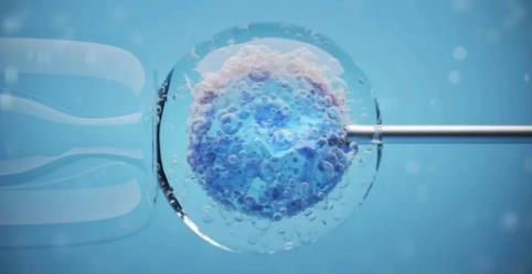 试管婴儿过程,体外受精,辅助怀孕