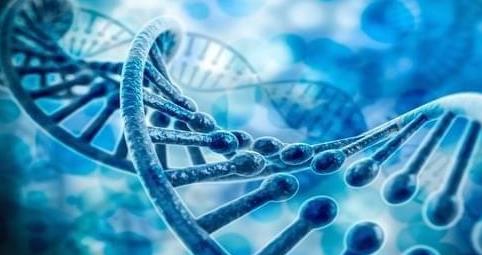 试管婴儿助孕,试管三代,试管成功率