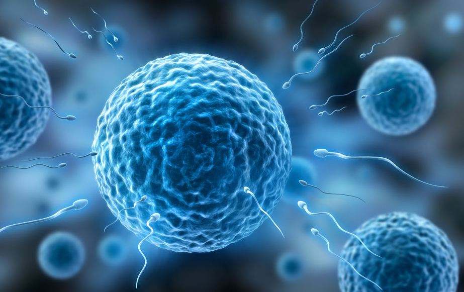 试管婴儿治疗,试管技术,试管设备