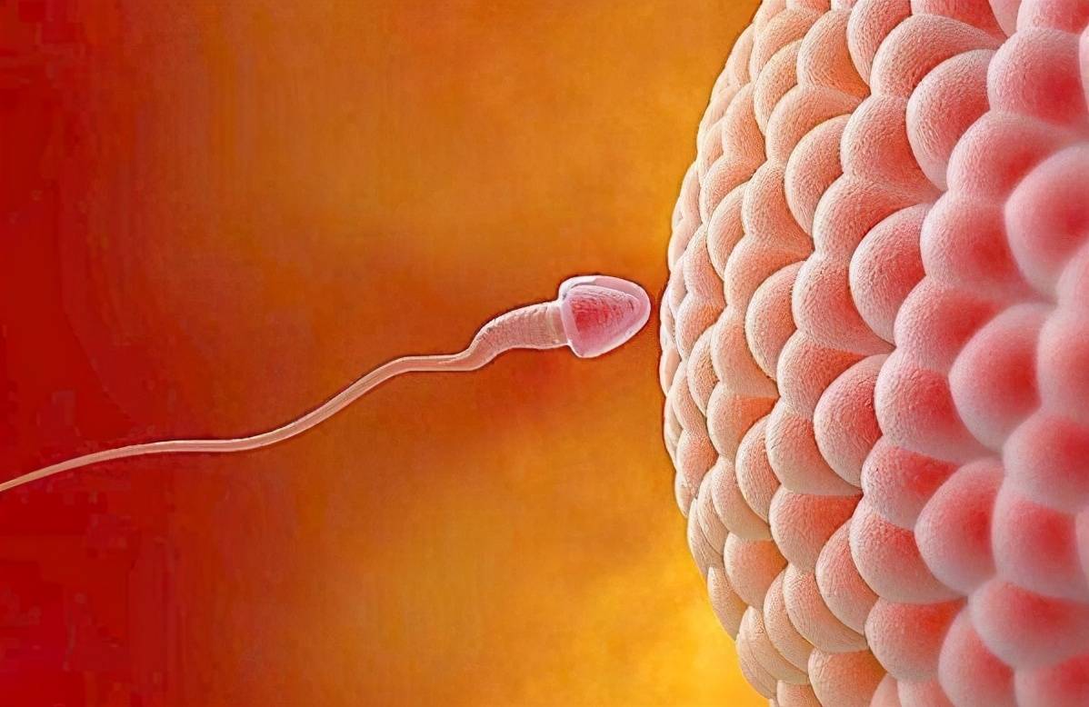 试管婴儿的适应症