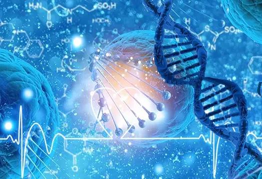 试管婴儿知识,泰国试管成功率