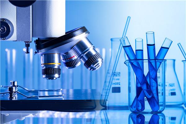 试管婴儿,胚胎培养囊胚,胚胎移植