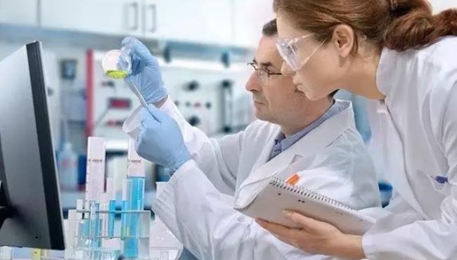 试管婴儿,胚胎移植,试管成功率