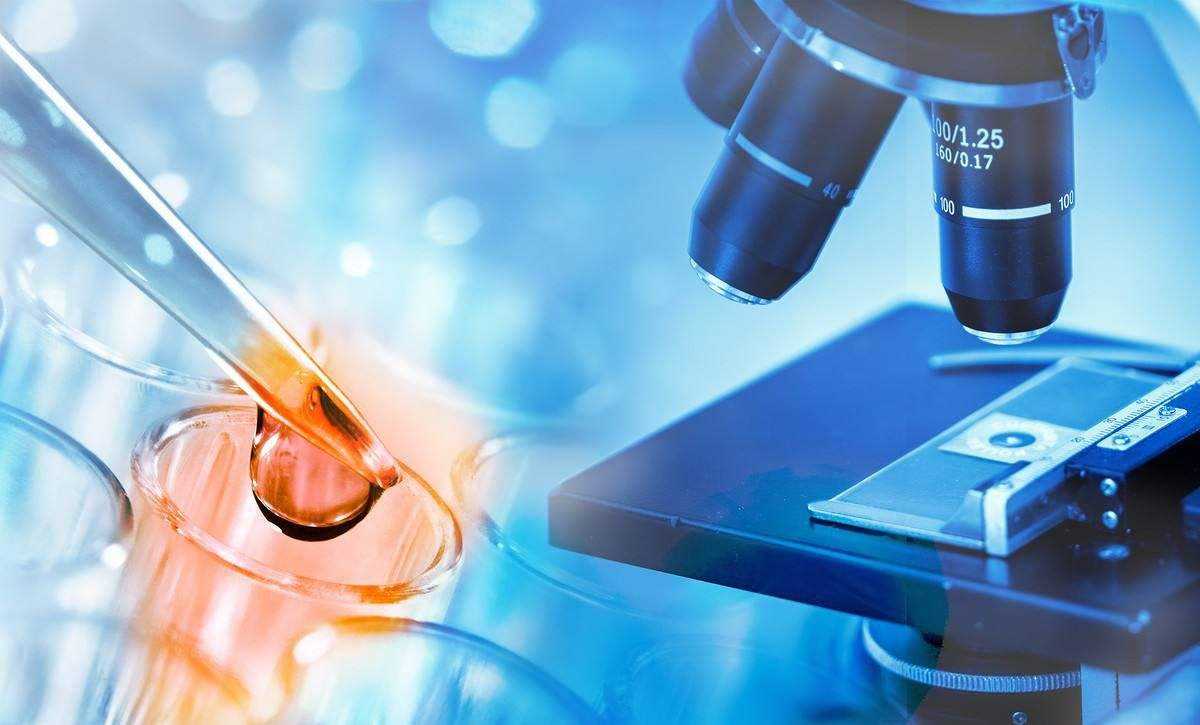 试管超长方案,促排取卵,试管成功率