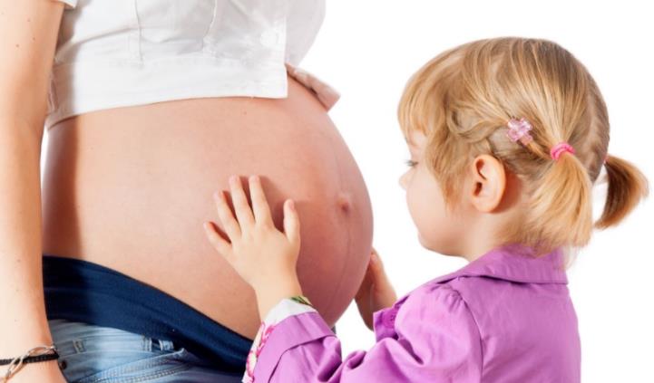 胚胎移植,试管成功率,胚胎着床