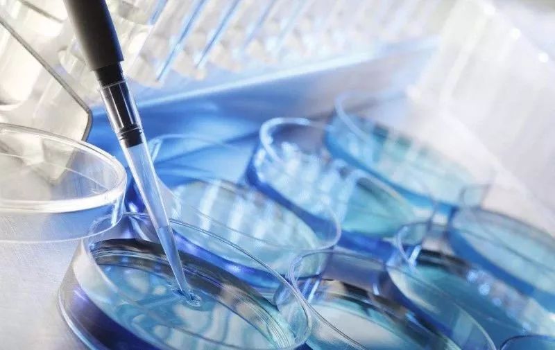 试管婴儿,心理压力,调节心态的办法