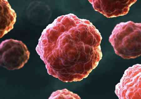 胚胎移植技术,试管婴儿健康率,试管婴儿