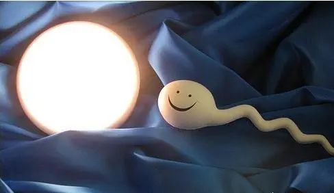 试管婴儿,辅助生殖,试管婴儿成功率