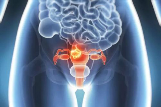 输卵管阻塞只能做试管婴儿吗,输卵管阻塞,试管婴儿