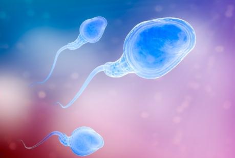 男子无精子能做试管婴儿吗