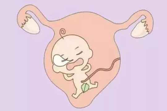 子宫内膜薄怎么做试管婴儿?