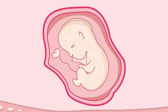 试管婴儿移植成功后药渣怎么清理?