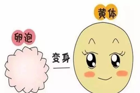 不排卵怎么办