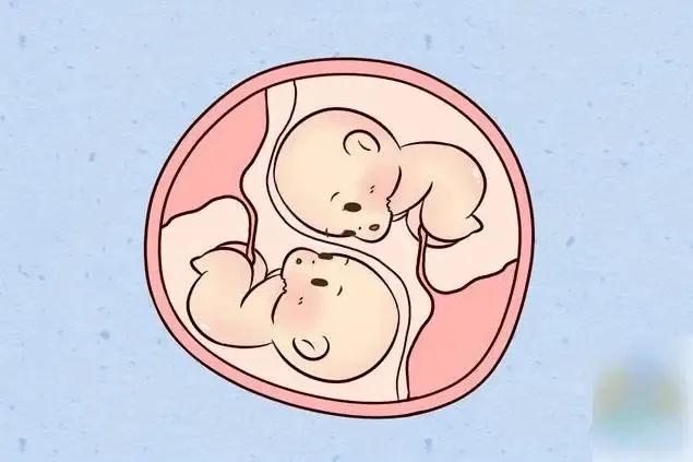 福建试管医院,试管婴儿,试管双胞胎