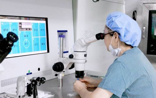 深圳试管医院,试管双胞胎,试管婴儿