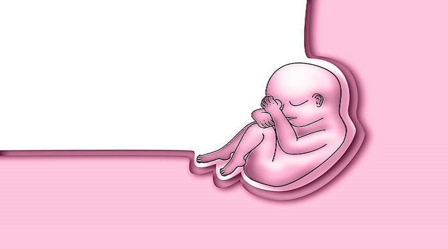 试管婴儿放2个胚胎的成活率高吗