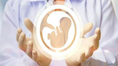 试管婴儿成功率,试管医院