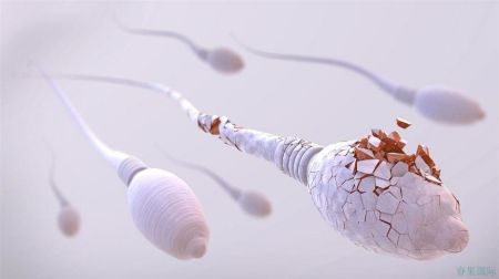 试管医院,试管费用,试管成功率