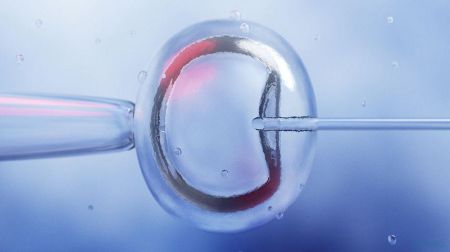 试管医院,试管医院排名,试管费用,试管成功率