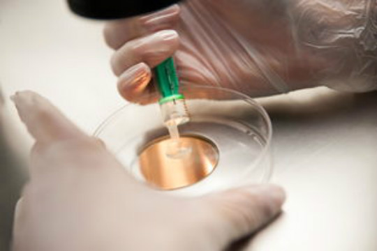 贵溪试管医院,试管婴儿,试管费用