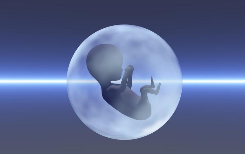 金华试管婴儿医院,试管婴儿,费用