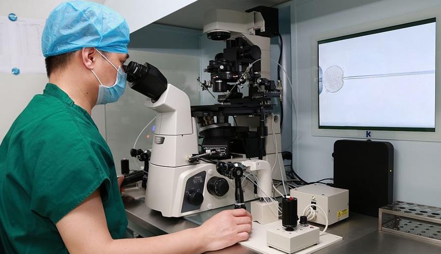 延边试管婴儿,试管婴儿成功率