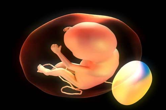 琼海试管医院,试管婴儿,费用,成功率