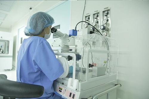 焦作试管婴儿医院,试管婴儿,河南试管医院,成功率