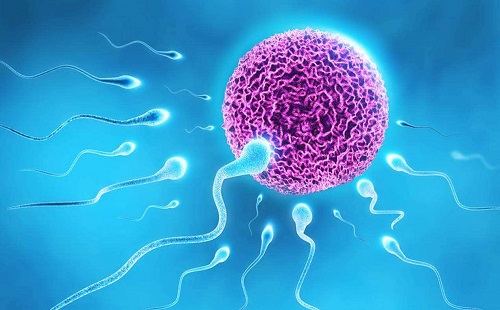 沈阳试管婴儿医院,沈阳试管婴儿