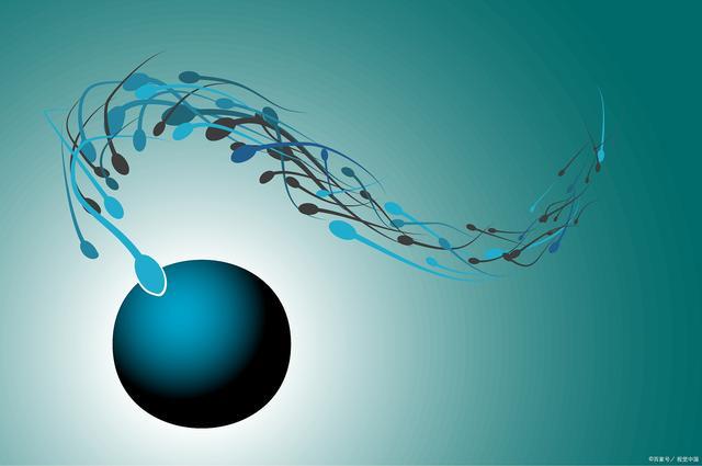 福建三代试管，试管费用，试管婴儿