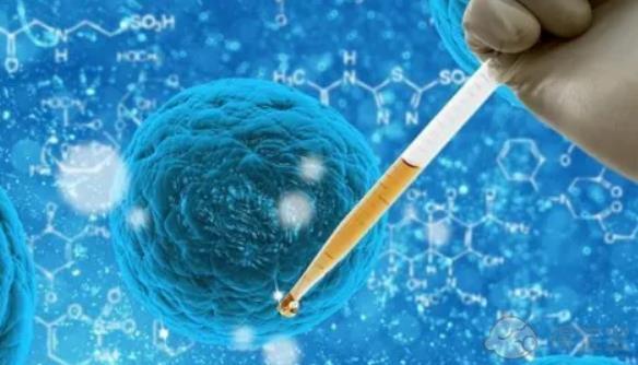 十堰试管医院,试管成功率