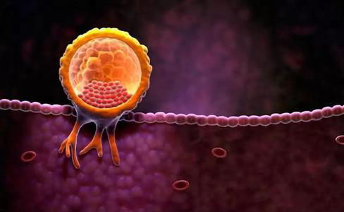 云南试管医院,试管婴儿,生男孩