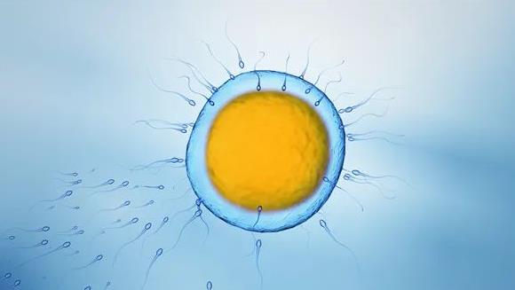 山西试管医院,试管助孕机构