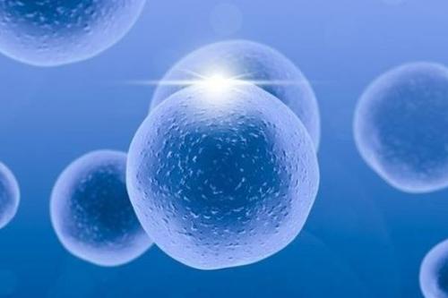 泰安试管医院,试管婴儿