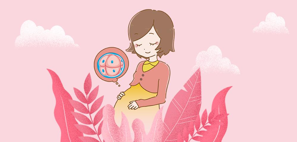 宿迁试管医院,试管婴儿