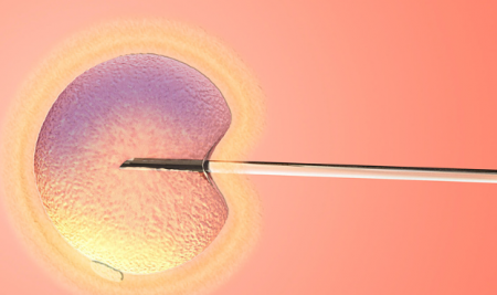 西藏试管医院,试管婴儿