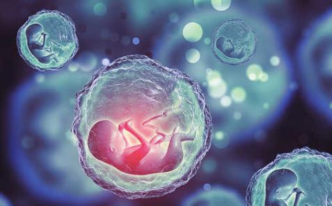 武汉试管医院,试管婴儿