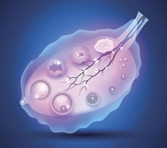 上海试管医院,试管婴儿