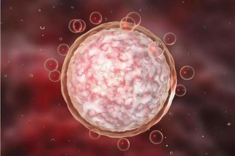 佛山试管医院,试管婴儿