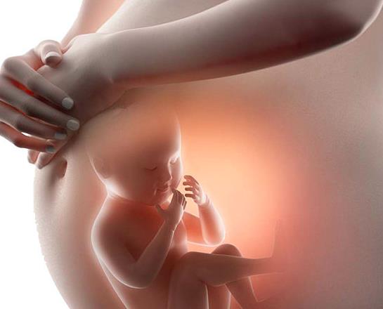 长沙试管医院,试管婴儿