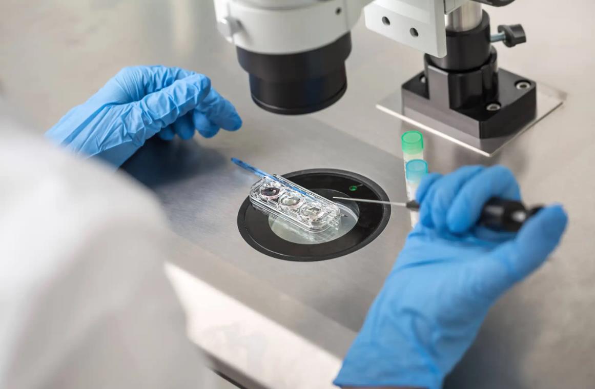 权威试管医院,试管婴儿技术