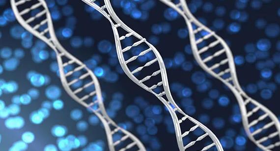 山东试管医院,试管婴儿技术