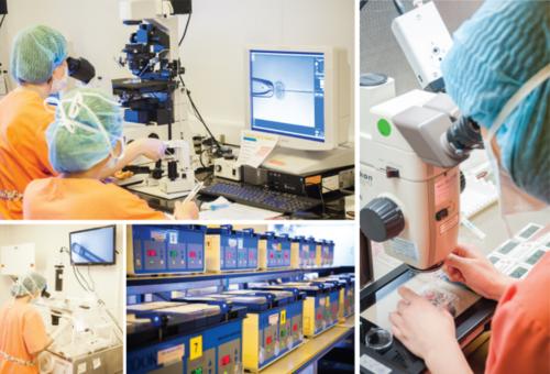 泰国试管婴儿医院哪家好,泰国试管婴儿医院要如何选择