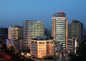 浙江试管婴儿医院,费用,成功率介绍