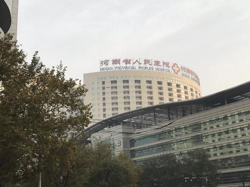 河南试管婴儿医院,费用,成功率介绍
