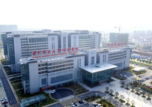 湖北试管婴儿医院_费用_成功率介绍