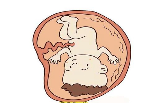 湛江试管婴儿医院大全,湛江试管婴儿医院排名,湛江试管婴儿医院排行榜