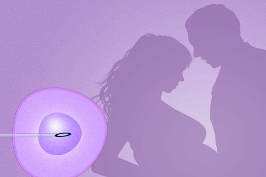 南宁试管婴儿医院大全，南宁试管婴儿医院排名，南宁试管婴儿医院排行榜