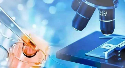 男性备孕吃什么