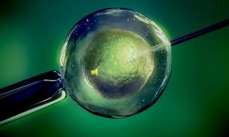 美国第三代试管婴儿,促排卵,试管技术